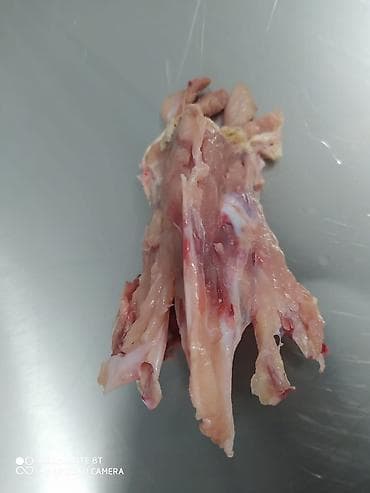 mr beast: Продаю куриные потроха Свежие замороженные без запаха итд Желательно — 7