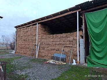 клевер туках: Тюки клевера, 2 гол, мелкий, чистый без сорняков. пресовали для себя — 3