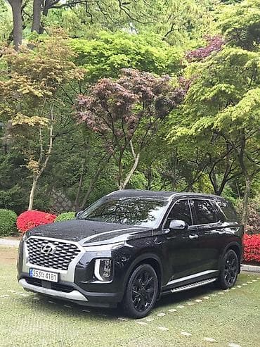 корейский внедорожник: Hyundai Palisade: 2019 г., 2.2 л, Автомат, Бензин, Внедорожник — 2