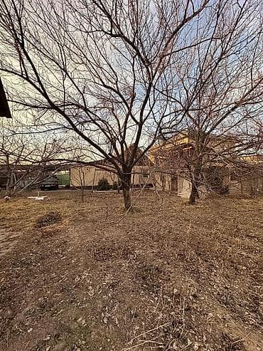 50: 8 соток, Для строительства, Красная книга — 4