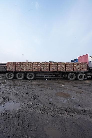 Пустотелый, дырчатый, Жженый кирпич, Полублок, 250×120×90 at lalafo.kg Пустотелый, дырчатый, Жженый кирпич, Полублок, 250×120×90