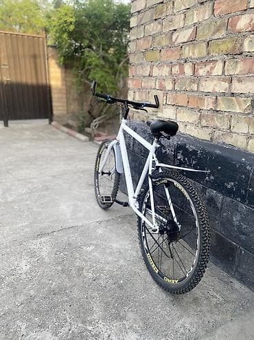 Горный велосипед, Alton, Сталь — 10