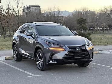 автомобил лексус: Lexus NX: 2019 г., 2 л, Автомат, Бензин, Кроссовер — 3