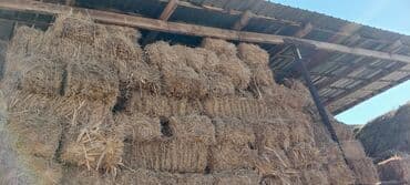 Шкафы для трансформатора: Клевер чистый большие тюки - Прямоугольные тюки, аккуратно — 2