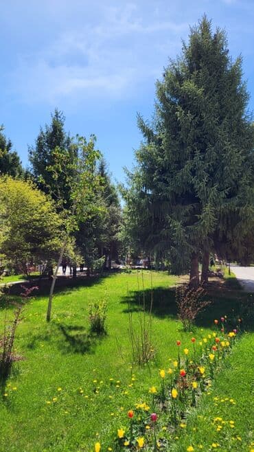 квартира на иссык куле: Квартира, 18 ЦО Радуга West, Кош-Кол, Бассейн — 12