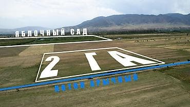 Кыймылсыз мүлк: 199 соток, Айыл чарба үчүн, Кызыл китеп, Сатып алуу-сатуу келишими — 1
