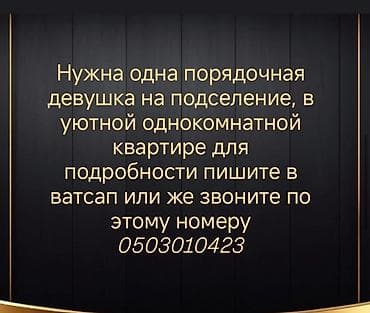 Подселение в уютную однокомнатную квартиру. Ищется одна порядочная