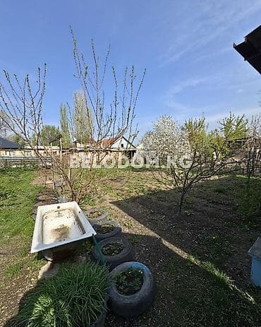 Дома: 🏠Продается дом в с. Беловодское 🟡4- жилых комнат, санузел, душевая — 3