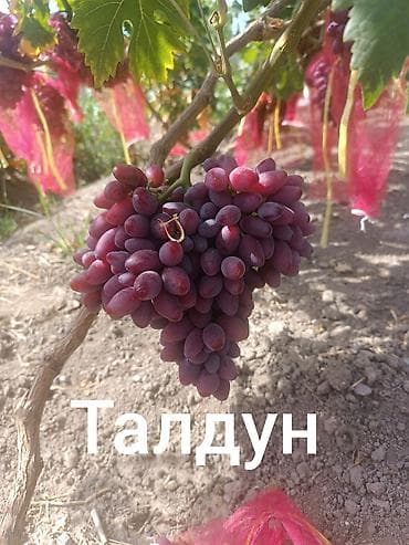 ягоды малины: Виноград — 2