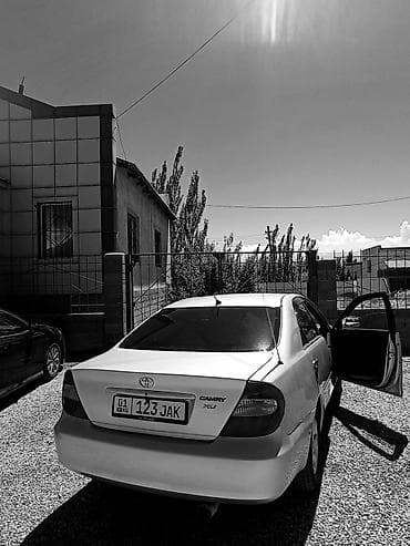 козырек камри: Toyota Camry: 2003 г., 2.4 л, Автомат, Бензин, Седан — 2