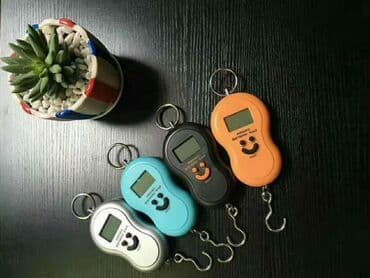 батарейки для весов: Напольные весы B-Well, Механические, Пластик — 1