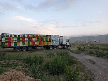 prius prim: Тягач, Scania, 2002 г., Шторный — 7