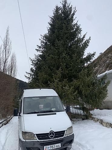 outback 2018: Mercedes-Benz Спринтер: 2000 г., 2.2 л, Механика, Дизель, Фургон — 6