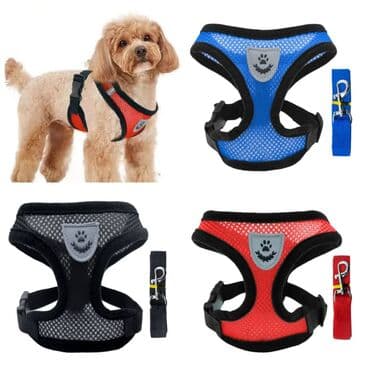 антибрык для коров купить: Продаю приспособление для выращивания травы для животных и людей(в — 5