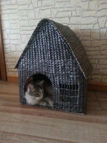где купить домик для кошки: Кошкин дом.Плетенный ручная работа. Выс.52.шир.30см.дл.43см. Цена 2200 — 2