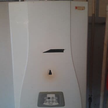 семена комнатных цветов в бишкеке: Газовый котёл произ Италия — 1