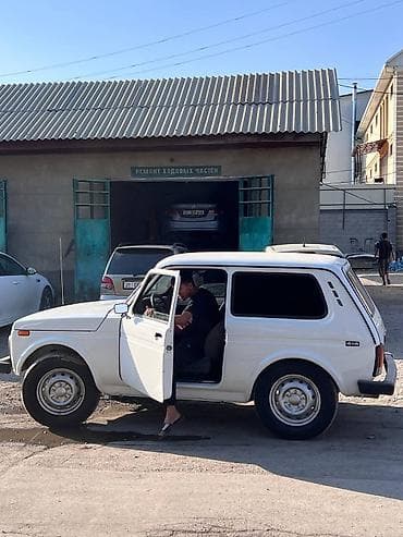 mini kooper: ВАЗ (ЛАДА) 4x4 Нива: 2008 г., 1.7 л, Ручные, Бензин — 7