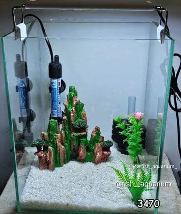 подарок девушке на новый год бишкек: Идеи для подарка на новый год. Комплекты с дизайном и оборудованием — 4