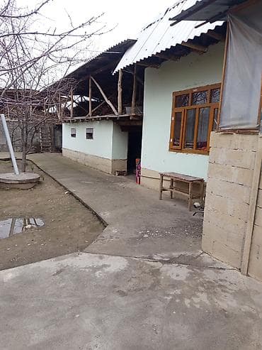 продаю новопавловка: СУРАНЧ ЖАКШЫЛАБ ОКУГУЛА. ГУЛИСТАН АИ́ЫЛЫ. ОРЕНТИР ИНТЫМАКТЫ — 2