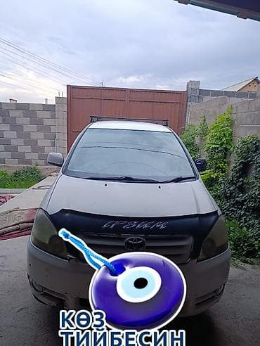 transporter multivan: Toyota Ipsum: 2001 г., 2.4 л, Автомат, Бензин, Минивэн — 2