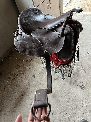 каракол собаки: Кыргыз ээр жана жугон Жазалышы: кожыный оюм чийими бар, колго — 7