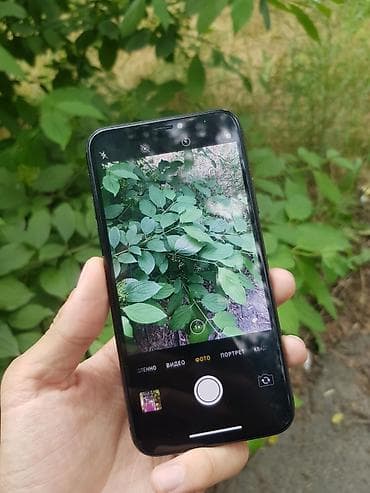 xyper x: IPhone X, Б/у, 64 ГБ, Черный, Кабель, 99 % — 5