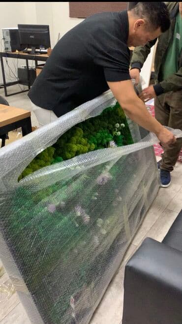 чистка ковер: Продаю новое панно из стабилизированного моха, размер 160см на 90см — 2