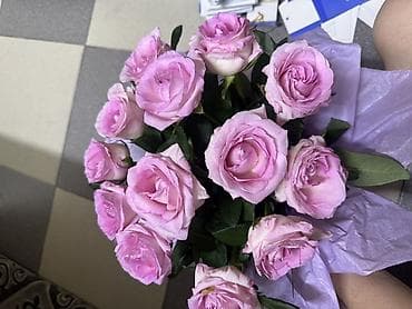 рожь: Букет из роз нежно‑розового оттенка. - Состав: 15 пышных роз с — 1