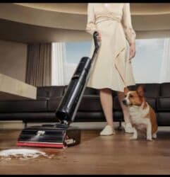 цена самсунг с 24 ультра в бишкеке: Чаң соргуч, Dreame, Вертикалдык, Кургак, Нымдуу, Аралаш, Контейнер, Суу чыпкасы — 3