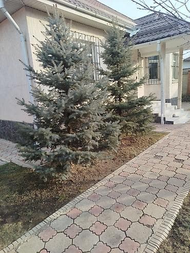 перец молотый: Продаю Арча Ели — 1