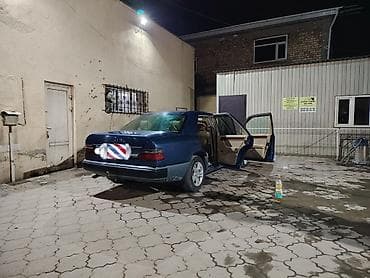 gl x164: Mercedes-Benz W124: 1991 г., 2.2 л, Ручные, Бензин, Седан — 4