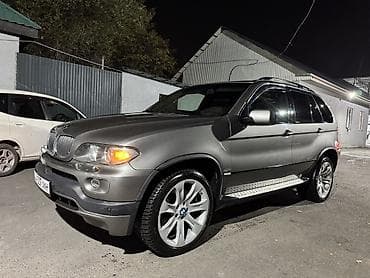 BMW X5: 2005 г., 4.8 л, Автомат, Бензин, Жол тандабас