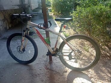 купить раму для бмх: Горный велосипед, Format, Рама M (156 - 178 см), Алюминий, Б/у — 2