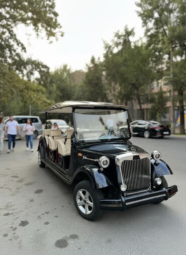 ева поли: Электрический экскурсионный автомобиль в ретро-стиле - Формат кузова — 1