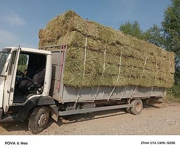 бетон жумуш: Жүк ташуучу унаа, Mercedes-Benz, Стандарт, Колдонулган — 2