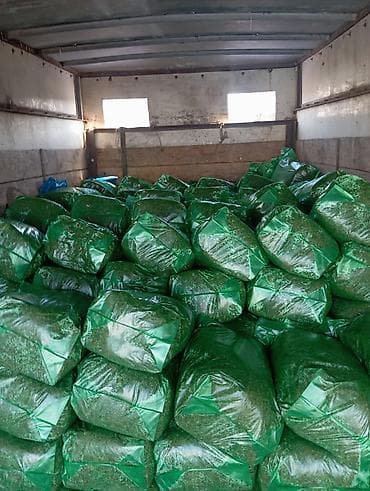 50% КУКУРУЗЫ 25 кг ВЕС,С погрузкой выше 5 тонн договорная