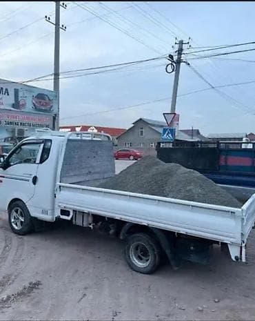 Үй жана бакча: Отсев отсев отсев отсев отсев отсев отсев отсев отсев отсев отсев — 8
