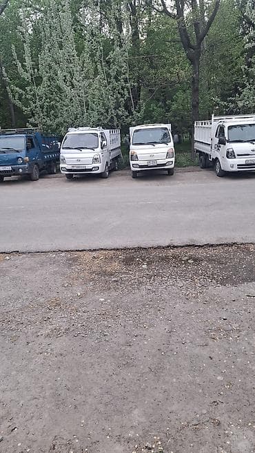 лист для крыши бишкек: Заказать Хендай портер, Вывоз бытового мусора, С пирамидой — 6