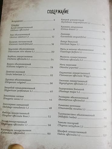 Книга: «Тайны и магия растений. Путеводитель по миру трав и деревьев» — 3