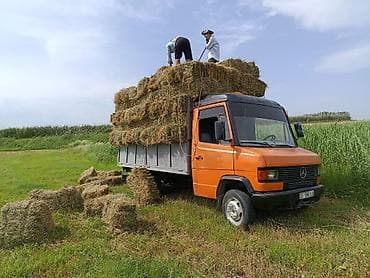 atego автовоз: Грузовик, Mercedes-Benz, Стандарт, 5 т, Б/у — 6