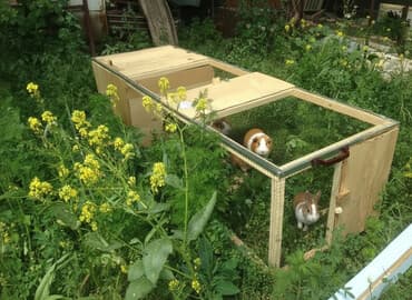 зоотовары оптом дордой: Клетка для цыплят, курей, индюшат. Зоотовары. сетки для кур с — 1