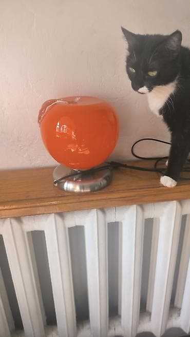 кызыл алма: Настольная лампа «Яблоко» - Декоративный настольный светильник-ночник — 1