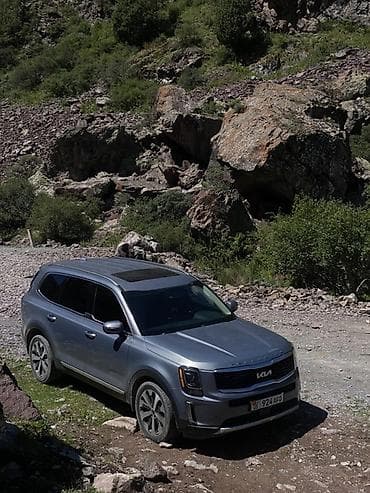 devo matiz: Kia Telluride: 2020 г., 3.8 л, Автомат, Бензин, Кроссовер — 5