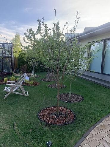 стружка опилки: Мульча Кара для оформления сада клумб, ФРАКЦИЯ 3-5 5_10 до см. мешок — 5