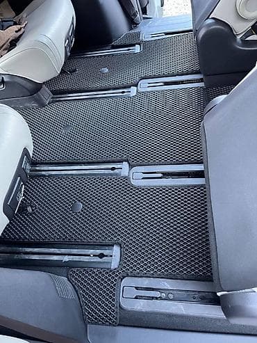 auris: Полики — 2