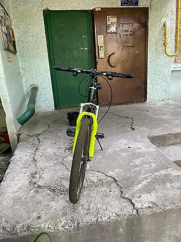 мульти: Тоо велосипеди, Болот — 6