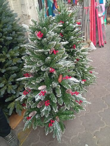 растения в аквариум купить: Все виды новогодних ёлок. от 0.6 до 4 метров. Украсит ваш дом — 9