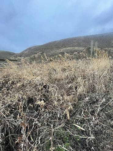 кызыл кыя жер уй: 15 соток, Курулуш, Кызыл китеп, Сатып алуу-сатуу келишими — 1