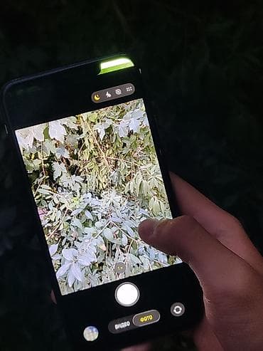 note 8 pro: IPhone 11 Pro Max, Б/у, 256 ГБ, Зеленый, 100 % — 6