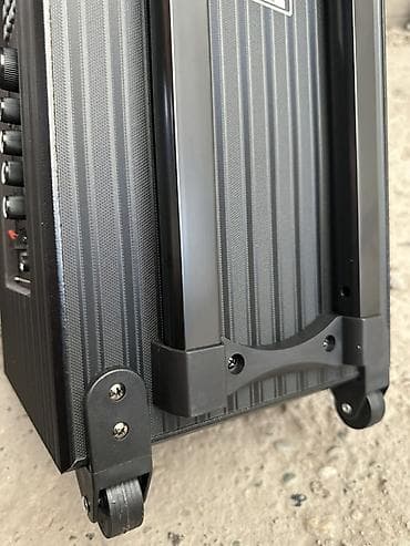 Портативная аккумуляторная акустическая система SSRJ SS-3101 Основные — 3